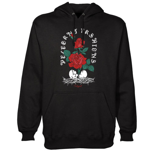 Beauty From Ashes Hoodie
